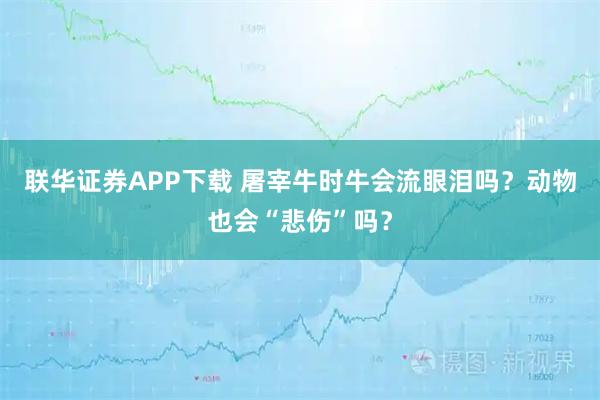 联华证券APP下载 屠宰牛时牛会流眼泪吗？动物也会“悲伤”吗？