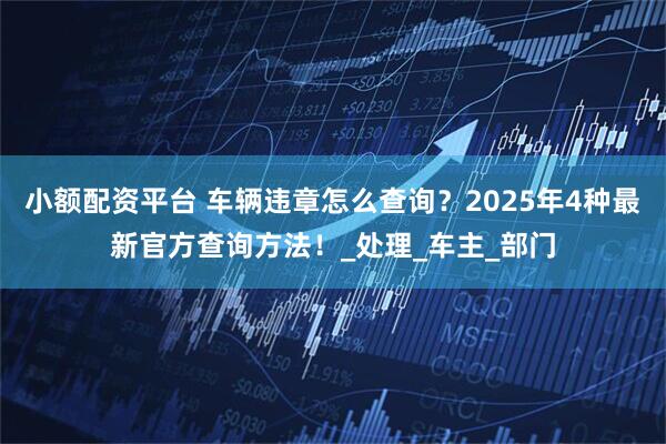 小额配资平台 车辆违章怎么查询？2025年4种最新官方查询方法！_处理_车主_部门