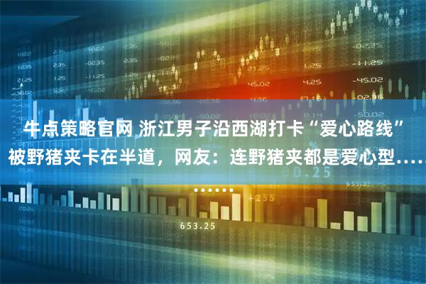 牛点策略官网 浙江男子沿西湖打卡“爱心路线”，被野猪夹卡在半道，网友：连野猪夹都是爱心型……